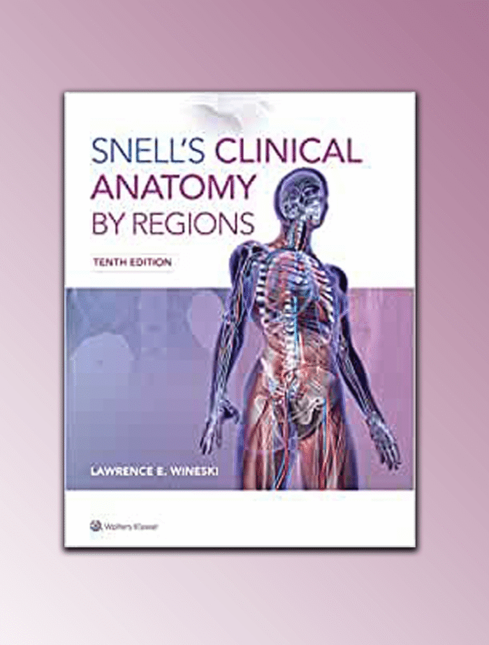 17.png Snell's Clinical Anatomy by Regions - Image 1
