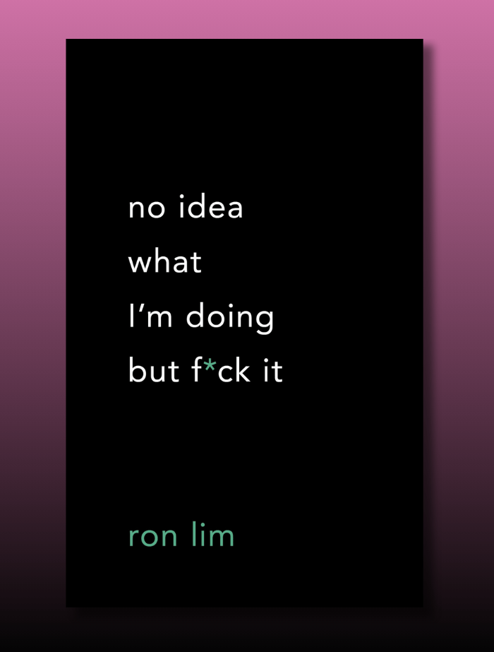 No Idea What Im Doing But F ck It - Bookpoint.af