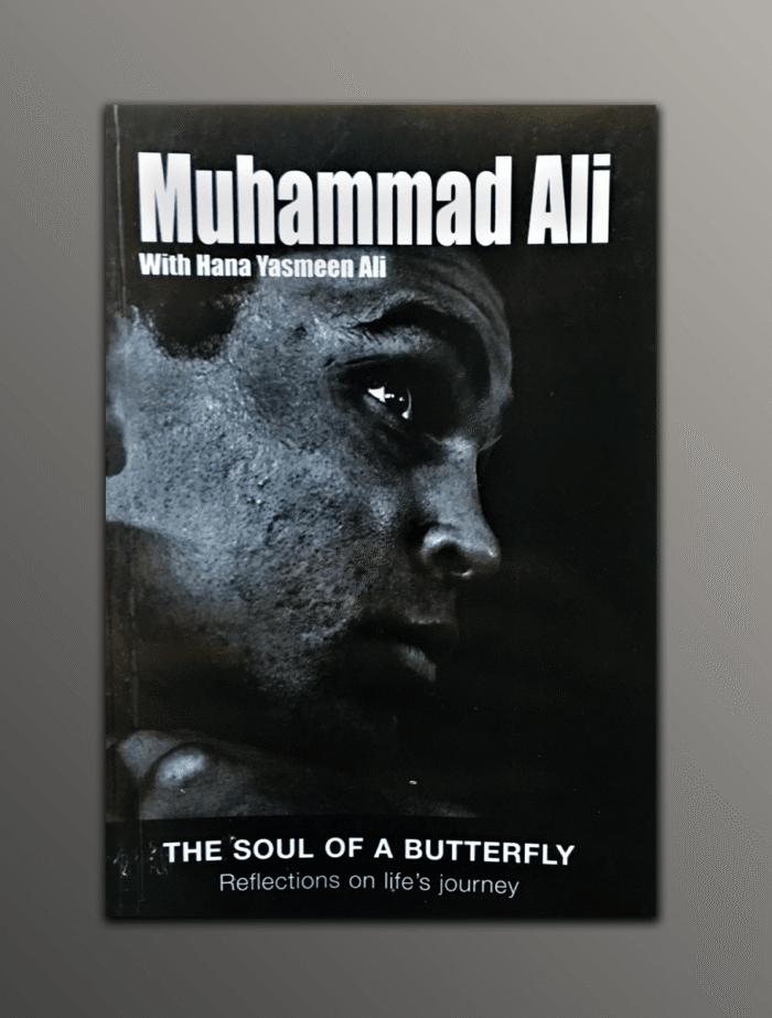 The Soul of a Butterfly - Image 1