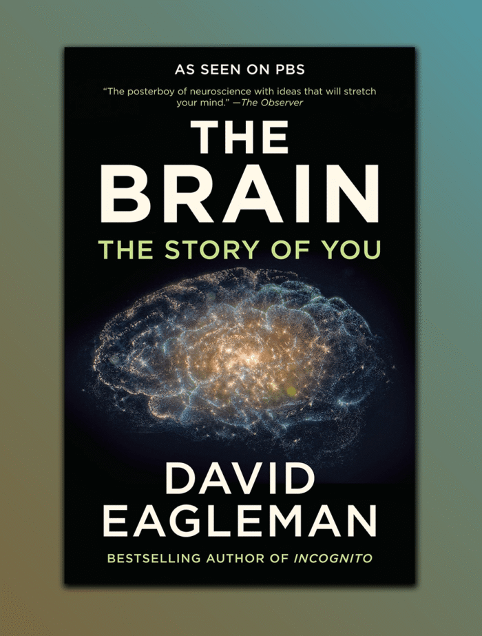 thebrain_kabulreads.png The Brain - Image 1